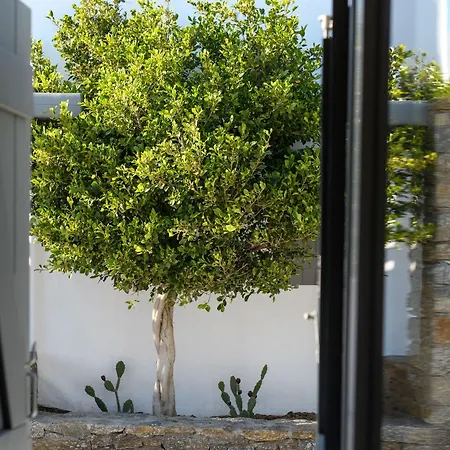 Aparthotel Olive Mykonos